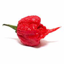 Especially among growers in the us, the uk, and australia, there has been a competition since the 1990s to grow the hottest chili pepper. Top 10 World S Hottest Peppers 2021 Update New Hottest Pepper