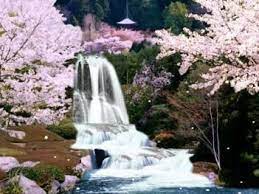 Pin On Japanese Gardens