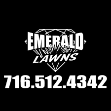 Strictly organic fertilizer, generally based on poultry byproducts. Emerald Lawns Lawncare Landscaping Snowplowing Hamburg Ny
