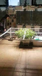 Check spelling or type a new query. Alaska Jack S Hydroponics And Garden Supply 331 E 87th Ave Anchorage Ak 2021