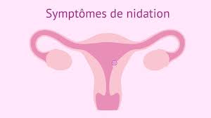 Ce sont généralement les premiers symptômes de la grossesse qui alertent une femme et la conduisent à faire un test de grossesse. La Nidation Et Les Premiers Symptomes De Grossesse Tout Ce Qu Il Faut Savoir Neufmois Fr