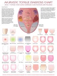 hasil gambar untuk tongue diagnosis in chinese medicine pdf