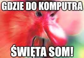 Dzięki temu, od 26 kwietnia, możemy poluzować część obostrzeń w 11 województwach o najmniejszej średniej dziennej liczbie zakażeń. Zabawne Memy Na Wielkanoc 2021 Zobacz Zdjecia Bialystok Super Express