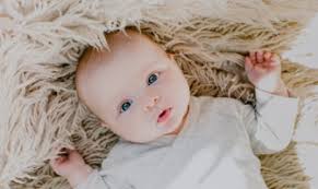 Cari Arti Nama willy Chandra