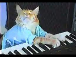Charlie Schmidt S Keyboard Cat The Original Youtube