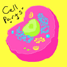 Send a sticker in ios imessage or as a text message on android and in your video chats from these animal cells stickers. 4 October Rabbit Cute 4nia Cute And Hot Gif Free Download
