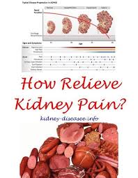 Kidney Disease Diet Signs Of Kidney Stones Cystine Kidney Stones Best Foods For Your Liver And Kidneys Common Signs Of Ki Calculos Renales Rinones Enfermedad