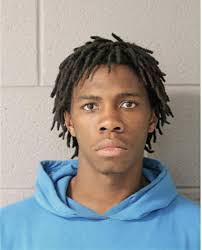 ᐅ Illinois Criminal Records 2009-2025