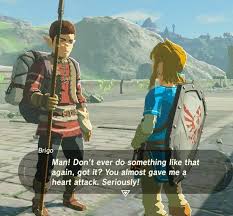Then Nintendo Takes Things One Step Further Once You Heed His Call To Step Back From That Ledge My Breath Of The Wild Legend Of Zelda Legend Of Zelda Breath