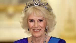 Kedekatan Camilla dan Pangeran Louis Dipuji Netizen Inggris