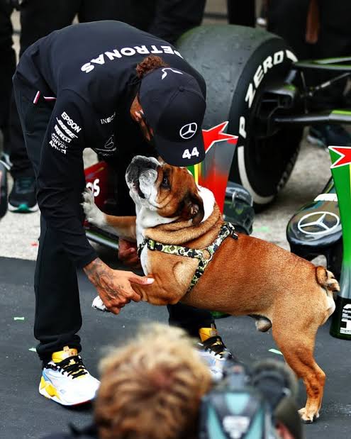 F1 on IG] Rest in Peace Roscoe Hamilton, a true star in his own right ✨ :  r/formula1