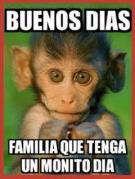 Via Me Me Buenos Dias Familia Chistoso Buenos Dias Familia Memes De Buenos Dias