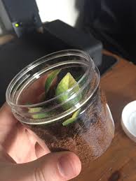 Thinking Of This For A Gbb Sling Enclosure Opinions Tarantulas