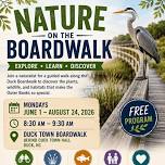 Nature on the Boardwalk