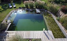 Schwimmteich Im Eigenen Garten Vorteile Einrichtungsiden Und Tipps Schwimmteich Gartenteich Naturschwimmbecken