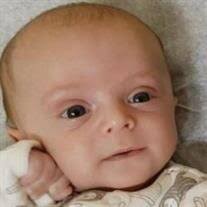 Graycen Knox Marlowe Obituary