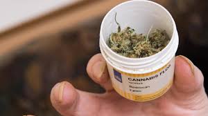 Immer Mehr Patienten Fragen Nach Cannabis Auf Rezept