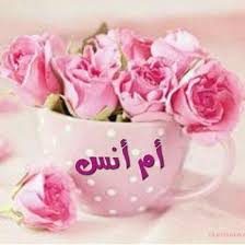 المطبخ ونس مع أم أنس أكلات وحلويات الصور فيسبوك