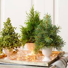 Enjoy free shipping on most stuff, even big stuff. 50 Quick And Easy Holiday Decorating Ideas Midwest Living