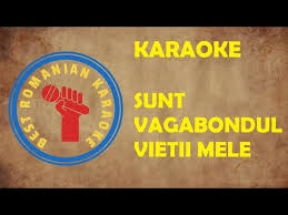 Karaoke Sunt Vagabontul Vietii Mele La Carciuma Din Cartier Versuri Negativ Youtube