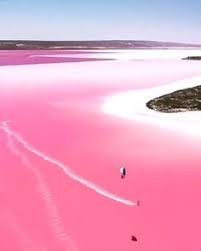 5 hillriver way, geraldton, wa 6531. 27 Best Broome Australia Ideas Australia Australia Travel Western Australia