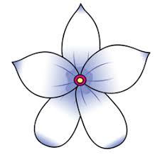 Flower pedals free vector we have about (12,377 files) free vector in ai, eps, cdr, svg vector illustration graphic art design format. Learn How To Draw A Jasmine Flower Drawing White And Purple And With Five Petals To Give It A Star Sh Flower Drawing Flower Drawing Tutorials Jasmine Flower