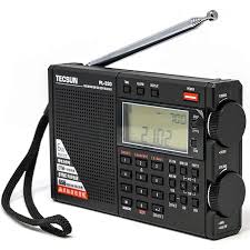 Image result for Tecsun PL747