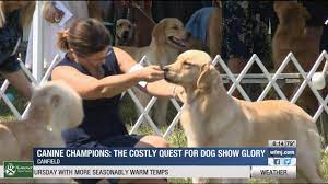 Glory quest dog