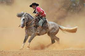 Only offering colonia horseriding in uruguay as nothing as close to ba compares to this. Argentine Criollos The World S Most Dependable Horse Estancia Ranquilco
