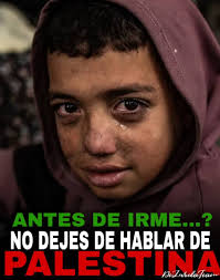 Onda Cálida (@ondacalida)