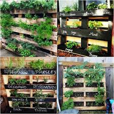 Potager Vertical Idees Diy Et Astuces Pratiques Pour Cultiver En Hauteur Potager Vertical Potager Potager Palettes