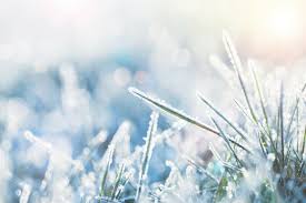 We did not find results for: Sprinkler Winterization Service In Omaha Nature S Helper