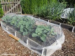 tulle netting susan's in the garden