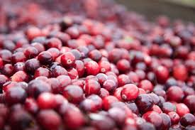 From Concentrate To Craisins Coastriverbusinessjournal Dailyastorian Com