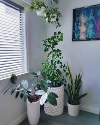 Houseplants Plants Decor Home Decor Interior Style Plant Corner Pilea Peperomioides Nordic Style Scandinavian Livin Plants Plant Decor Indoor Big Indoor Plants