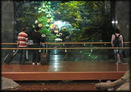 How to get from istanbul to vancouver aquarium by plane or bus. Vancouver Airport