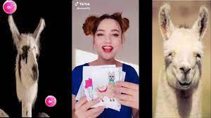 The Llama Song Happy Llama Sad Llama Challenge 2018 Video Compilation Best Musical Ly S Youtube
