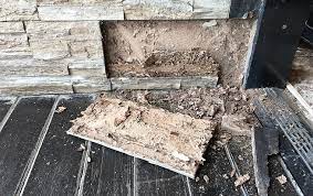 According to the national pest management association (npma), they cost homeowners an estimated $5 billion a year to control and repair. Blog Why Home Insurance Will Not Cover Termite Damage In Longview