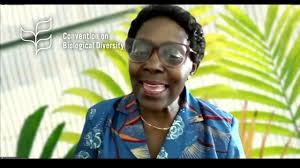 Biodiversity Loss and Ecosystem Degradation: Implications for  Macroeconomics and Financial Stability