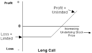 Equity Calls Puts