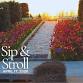 Sip & Stroll