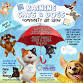 First Friday Opening Reception - Raining Cats & Dogs
