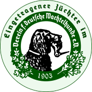 Die ohren sind hoch und breit angesetzt, flach ohne drehung dicht hinter dem auge. Deutscher Wachtelhund Zwinger Von Der Litze
