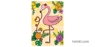 Se hizo famosa por su color rosa pálido. Flamenco Bebiendo Hoja Para Colorear Animal Padres Ks1 Illustration Twinkl