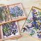 Pressed Flower Workshop event image
