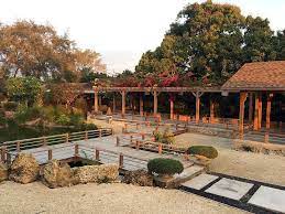 These varieties are distinguished on the basis of coloration, scales, and patterns. 19 Best First Look Photos Red Koi Gardens Pics Ideas Koi Redland Garden Venue