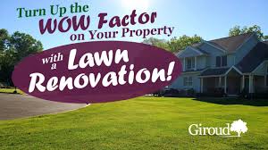 Lawn Services Lawn Care Giroud Tree Lawn
