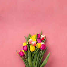Flower images shown are a representation of our. Free Photo Beautiful Bouquet Of Flowers