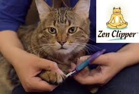 I like to get mine when they are snoozing after a meal. Trim Your Cat S Nails The Right Way And Nobody Gets Hurt