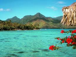 Maybe you would like to learn more about one of these? Desktop Background Tropical Beach Background Tropical Beach Screen Wallpapers13 Com